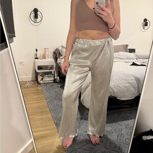 NWOT Silver Please Pants